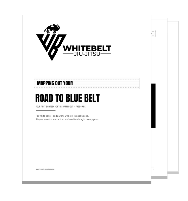 The free guide, Mapping Out Your Road to Blue Belt &mdash; fifteen pages